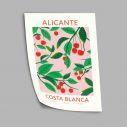Alicante, Poster