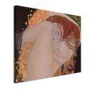Πίνακας ζωγραφικής Danae detail, Klimt G.
