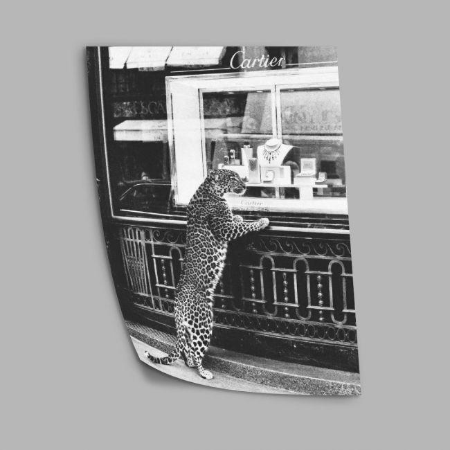 Cartier Tiger, poster