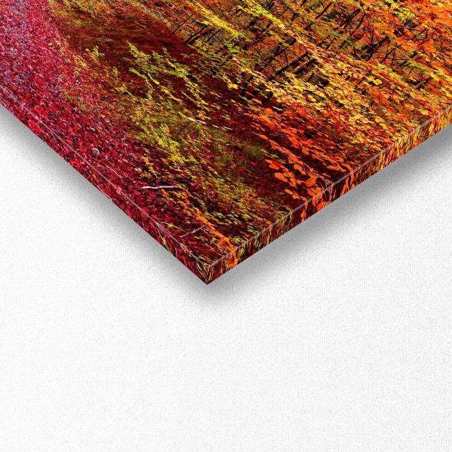 Canvas print Autumn colors, panoramic