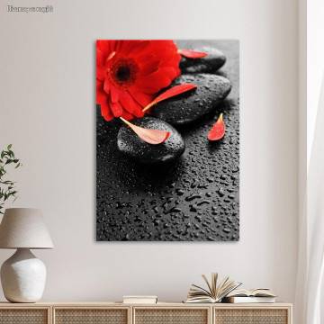 Canvas print spa stones & red flower Framed canvas View 1