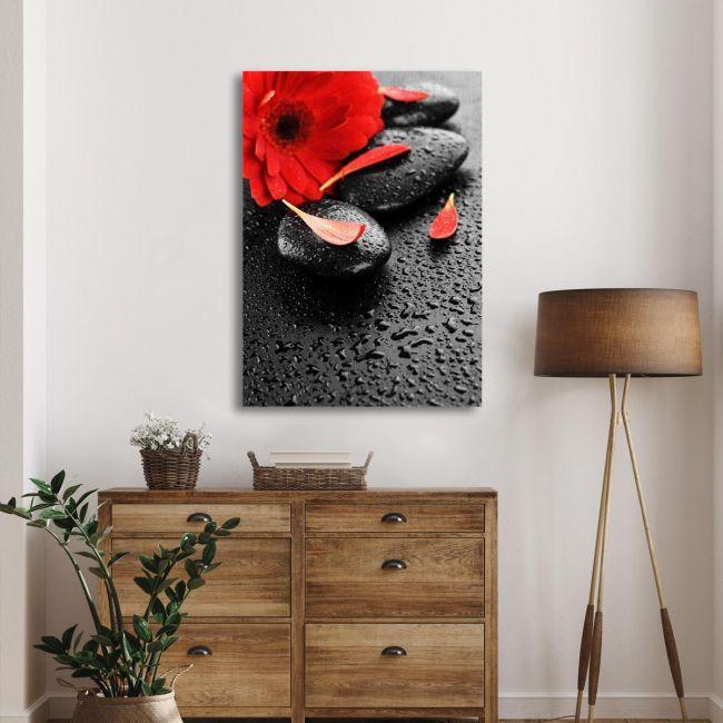 Canvas print spa stones & red flower