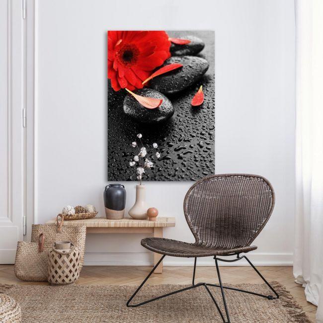 Canvas print spa stones & red flower