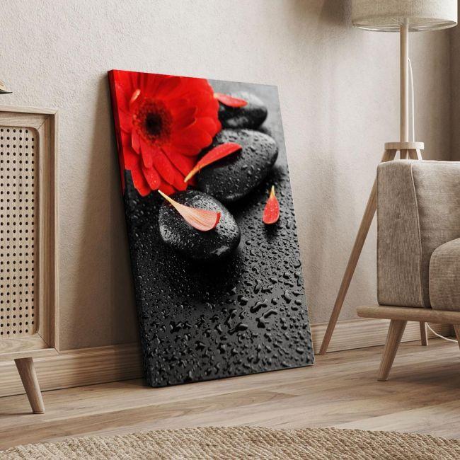 Canvas print spa stones & red flower