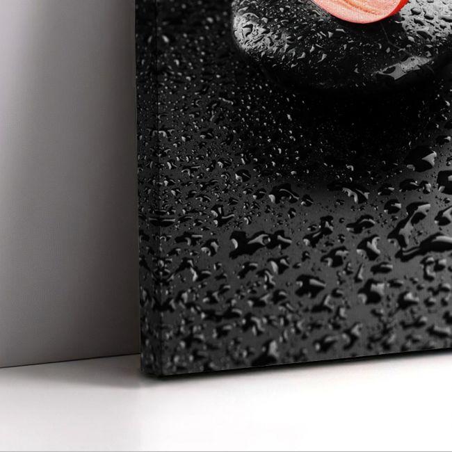 Πίνακας σε καμβά Πέτρες spa & κόκκινο λουλούδι