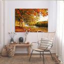 Πίνακας σε καμβά Φθινοπωρινό δάσος, Beautiful autumn