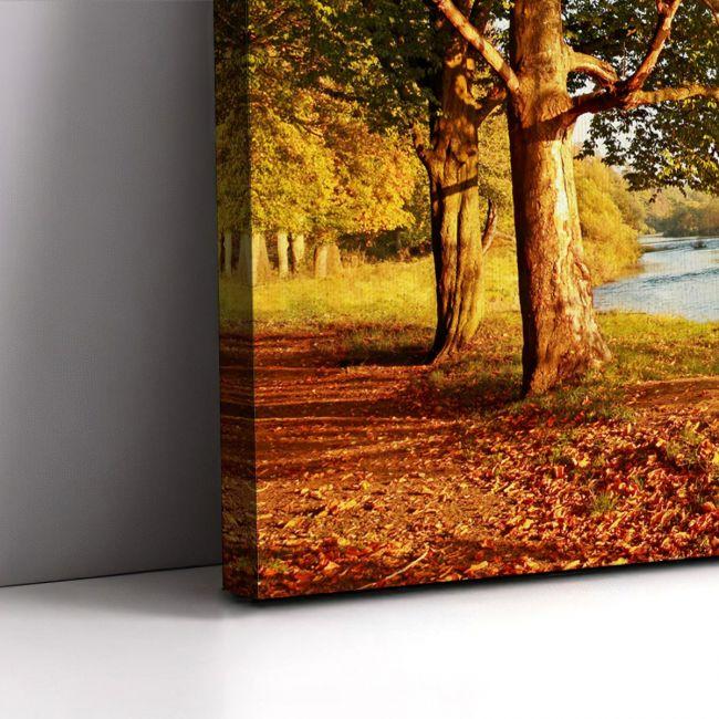 Canvas print Beautiful autumn