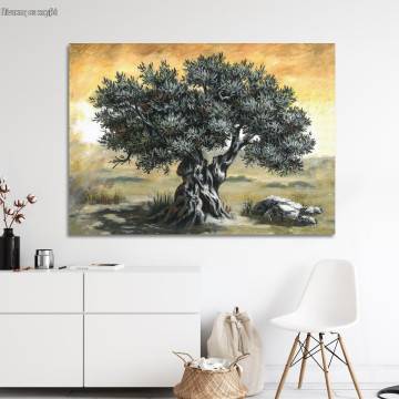 Canvas print Olive tree