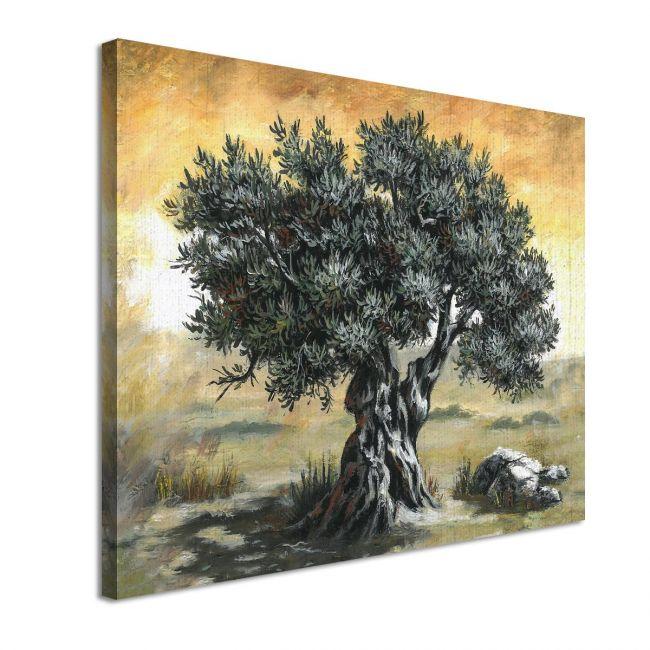 Canvas print Olive tree