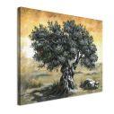 Canvas print Olive tree