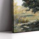 Canvas print Olive tree
