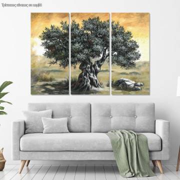 Canvas print Olive tree,3 panels