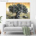 Canvas print Olive tree,3 panels