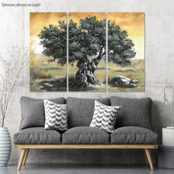 Canvas print Olive tree,3 panels 2