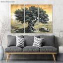Canvas print Olive tree,3 panels