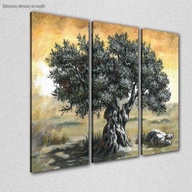 Canvas print Olive tree,3 panels