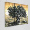 Canvas print Olive tree,3 panels