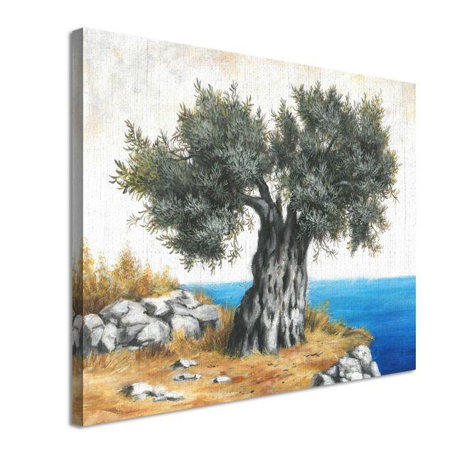 Canvas print Olive tree by the sea