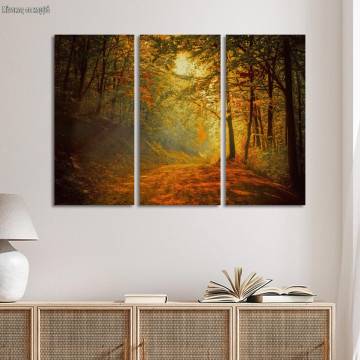 Canvas print Forest memories,3 panels