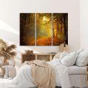 Canvas print Forest memories,3 panels