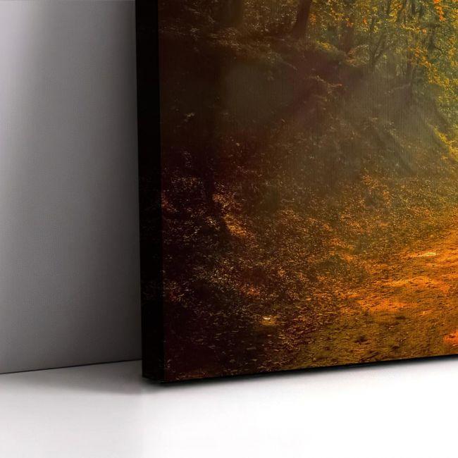 Canvas print Forest memories,3 panels