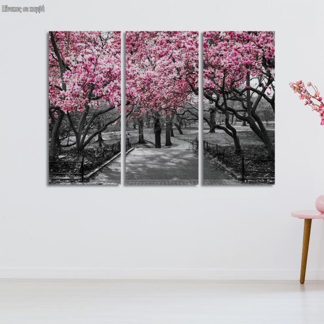 Πίνακας σε καμβά Ανθισμένα δέντρα, Pink Blossoms central park, τρίπτυχος 1