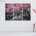 Πίνακας σε καμβά Ανθισμένα δέντρα, Pink Blossoms central park, τρίπτυχος 1