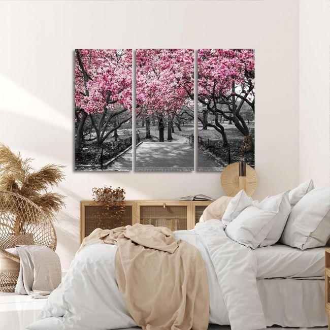 Canvas print Pink Blossoms central park,3 panels