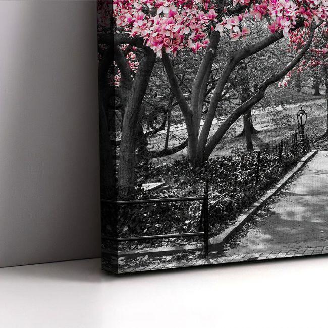 Canvas print Pink Blossoms central park,3 panels