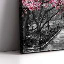 Canvas print Pink Blossoms central park,3 panels