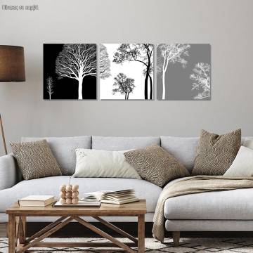 Canvas printTrees,3 panels