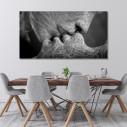 Canvas print Roots gray, panoramic