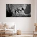 Canvas print Roots gray, panoramic