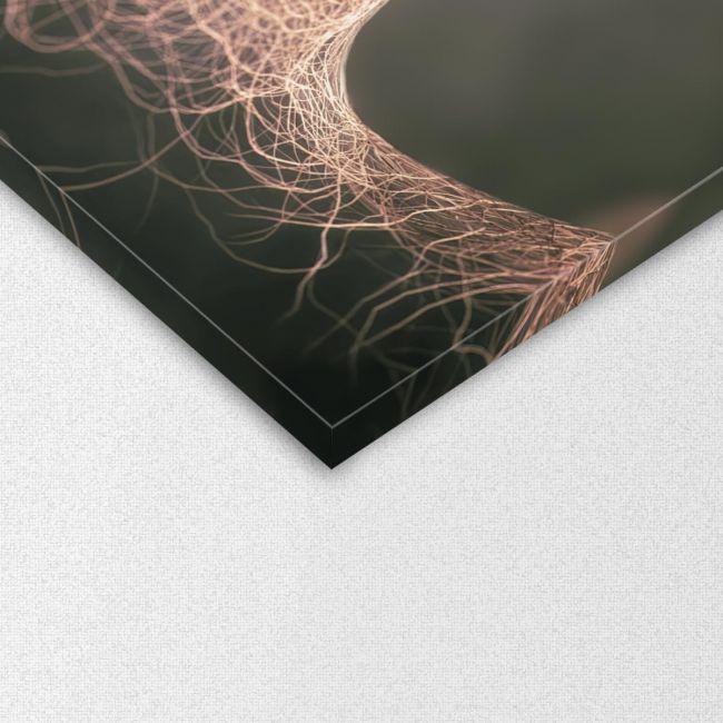 Πίνακας σε καμβά Roots horizontal