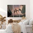 Canvas print Roots,3 panels