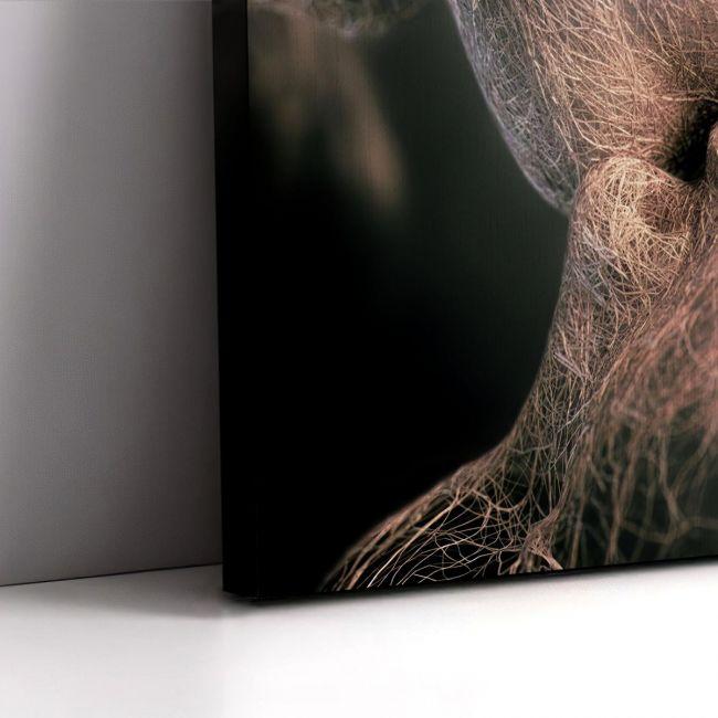 Canvas print Roots,3 panels