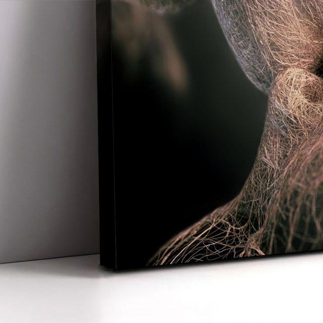 Canvas print Roots horizontal