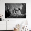 Canvas print Roots gray horizontal