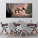 Canvas print Roots, panoramic