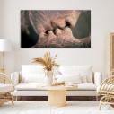 Canvas print Roots, panoramic