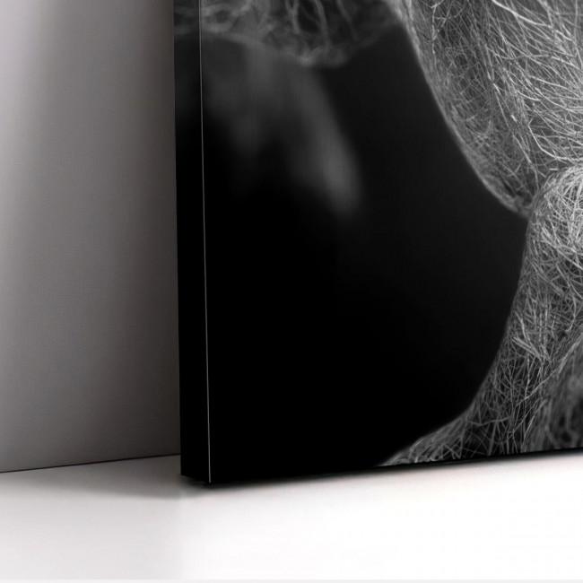 Πίνακας σε καμβά Roots gray, πανοραμικός 4