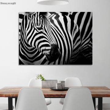 Canvas print Zebra style
