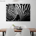 Canvas print Zebra style