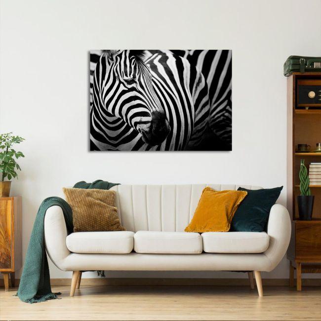 Πίνακας σε καμβά Zebra style