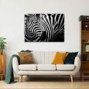 Πίνακας σε καμβά Zebra style