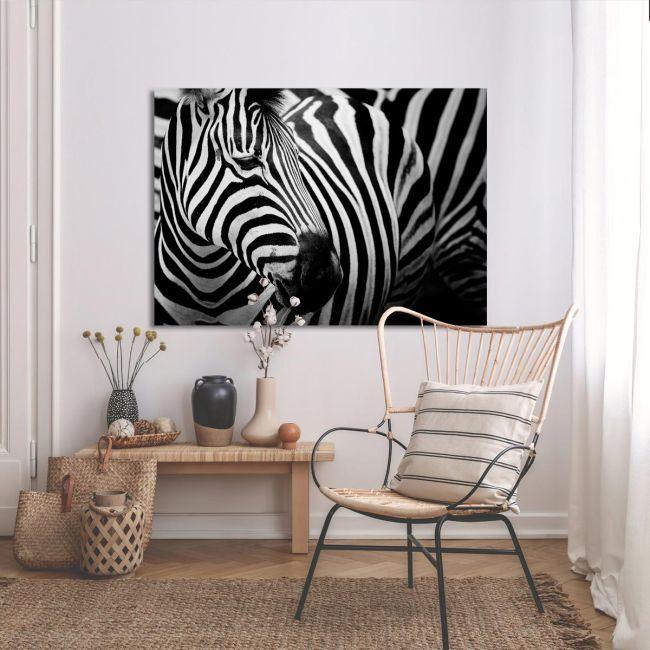 Πίνακας σε καμβά Zebra style