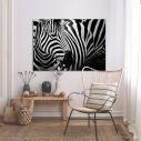 Canvas print Zebra style