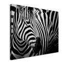 Πίνακας σε καμβά Zebra style