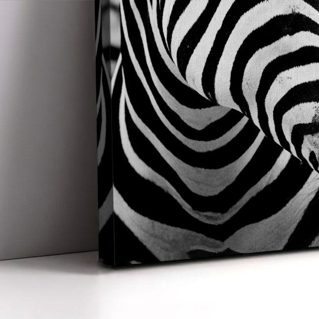 Canvas print Zebra style