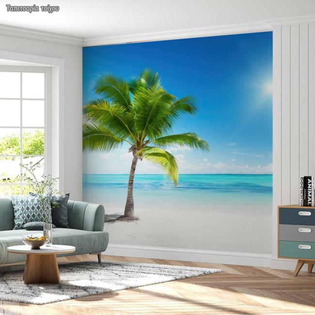 Wallpaper Palm beach